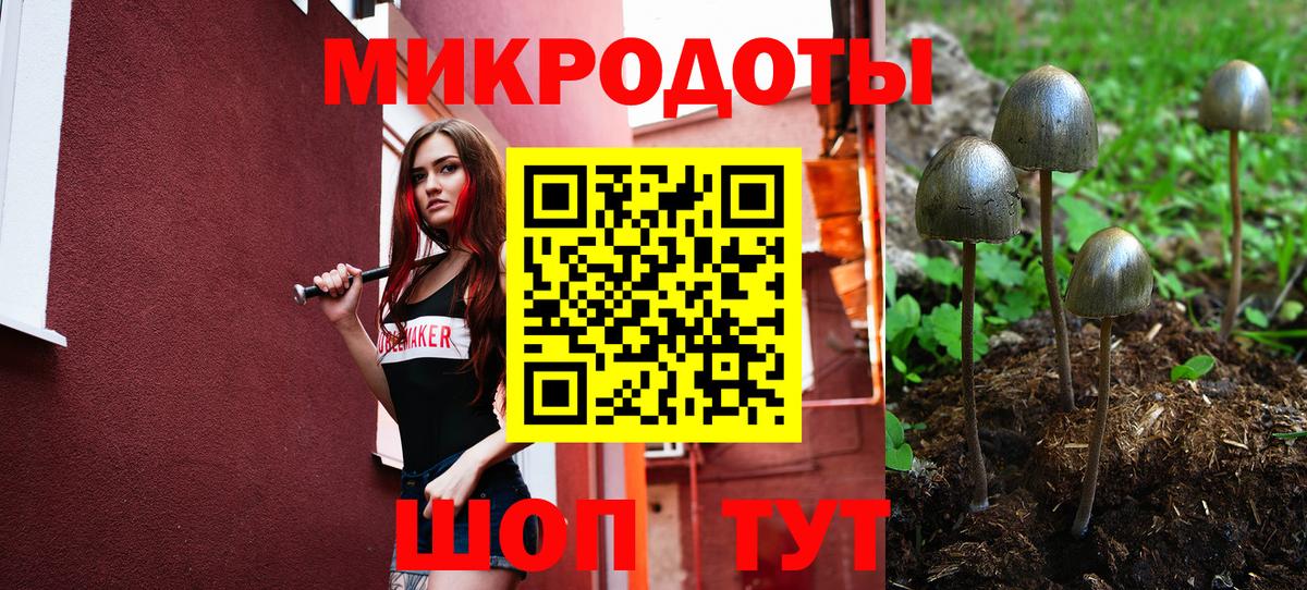 Галлюциногенные грибы мухоморы  Вход с VPN  купить закладку  Ярославль 